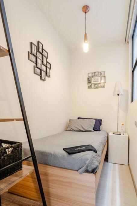 Mexico City Mondomexico Deluxe 2 Bedroom Apartments Eksteriør billede
