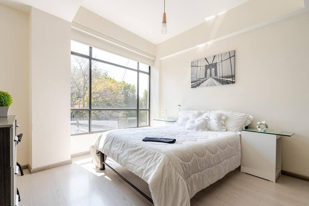 Mexico City Mondomexico Deluxe 2 Bedroom Apartments Eksteriør billede